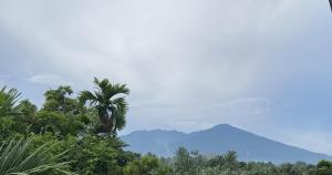 Bahay Goa 2C Apartment