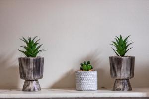 Regents Square Charming Flat