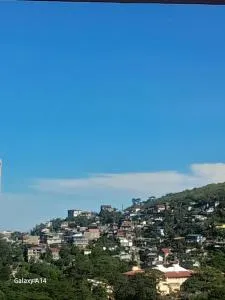 Pine Tree Homee Moldex - Banaue