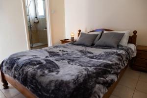 Villa Alexander The Great