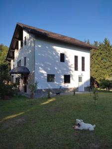 Studio apartman Gorica