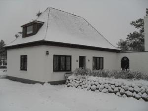 Kiekut