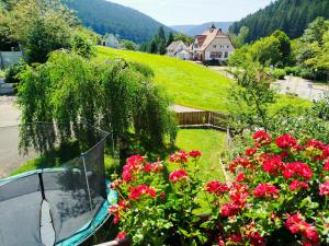 Ferienwohnung Blaess