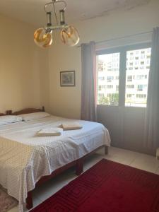 Hotel Luli City Center