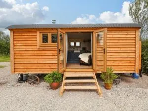 Cariad Mawr - Llanasa