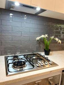 Payneham South Paradise Suite 1