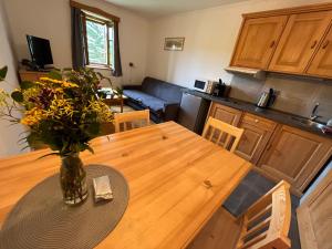 Apartments Dřevona II