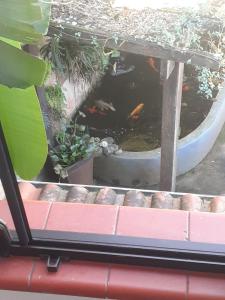 Ótima suíte próxima ao centro