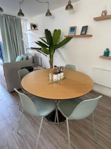 Coester Nieuwpoort - Knusse studio met tuin