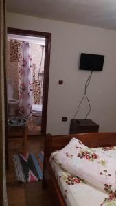 Cabana Claudia Briciu