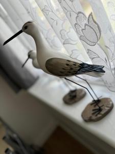 Tranquility at Sandown Bay