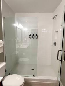 1 Bedroom Luxury Apartment