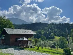 CABANA MERISORULUI - Izvoru