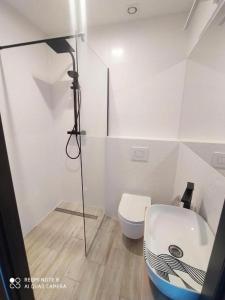 Willa Loka Apartamenty