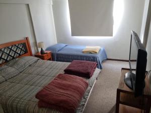 Delpino Propiedades Veracruz