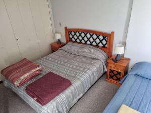 Delpino Propiedades Veracruz