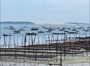 Villas Cosy Villa Arcachon Bay : photos des chambres