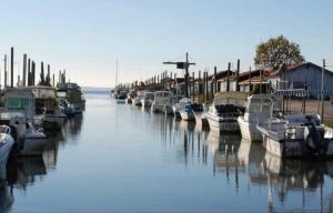 Villas Cosy Villa Arcachon Bay : Villa 3 Chambres