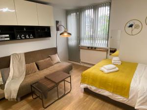 Studio flat in West Kensington