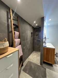 Appartements Cocon sur la Route des Vins : photos des chambres