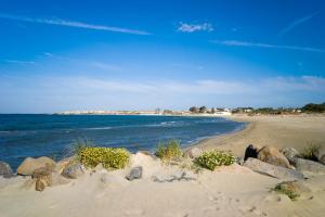 Appart'hotels Vacanceole - Residence Le Palmyra Golf : photos des chambres