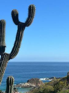 Cabana Alegria - Ocean View Home - 2 Master Suites