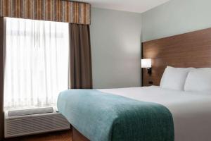 King Room - Disability Access room in Wingate by Wyndham Louisville East