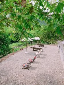川辺-kawabe 悠- 川遊び-BBQ