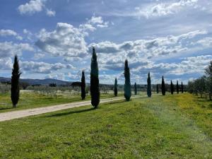 Podere DellArco Country Charme