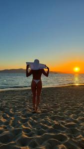 Plaka Beach House Naxos