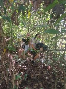 Brown Bamboo Guest house & jungle trekking orang-utan