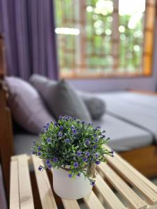 Na Tuệ An-Homestay Số 3 Hoàng Văn Thái