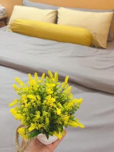 Na Tuệ An-Homestay Số 3 Hoàng Văn Thái