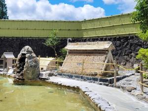 Hitaonsen Hananoki River Terrace