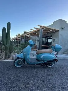 Las 3 Carabelas BCS - El Sargento