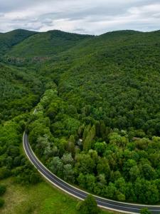 Kerekerdő Apartman - Szarvaskő