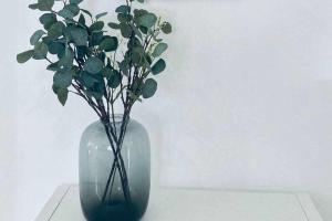 VII Apartamentos Morales & Arnal