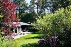 The Cuckoo's Nest - Holmstrup