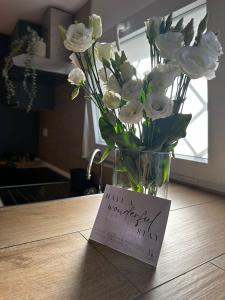 Luxury Apartments Collection Sand Suite