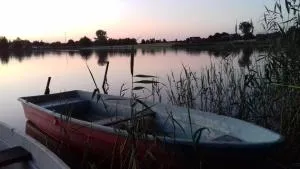 Bungalow am See - Neetzka