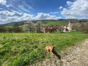 Altes Pfarrhaus Leubach - Fladungen
