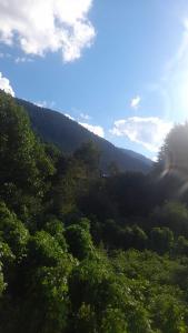 Guesthouse Kavkasioni