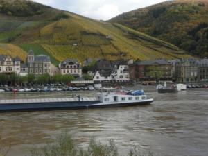 Ferienwohnung mit herrlichem Moselblick