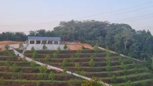 Simpang Pertang Hilltop Orchard Stay - Pertang
