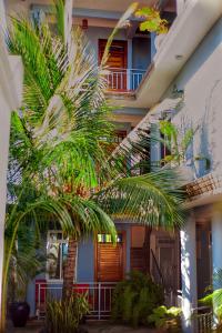 Mangi Mangi Accomodation