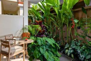 Zyandru 1 BR Deluxe Garden View ZN175