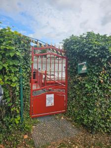 Bateaux St Christopher : photos des chambres