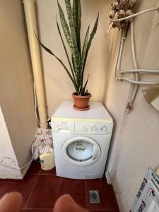 اقامةً سولام الكو جنان سفاري بئر خادم ولاية الجزائر