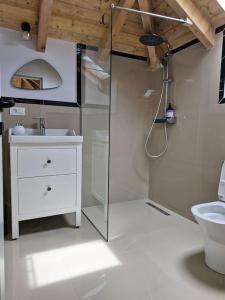Studio in the attic with private bathroom