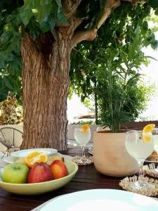 Fillosia - 皮萨瑞弗罗达